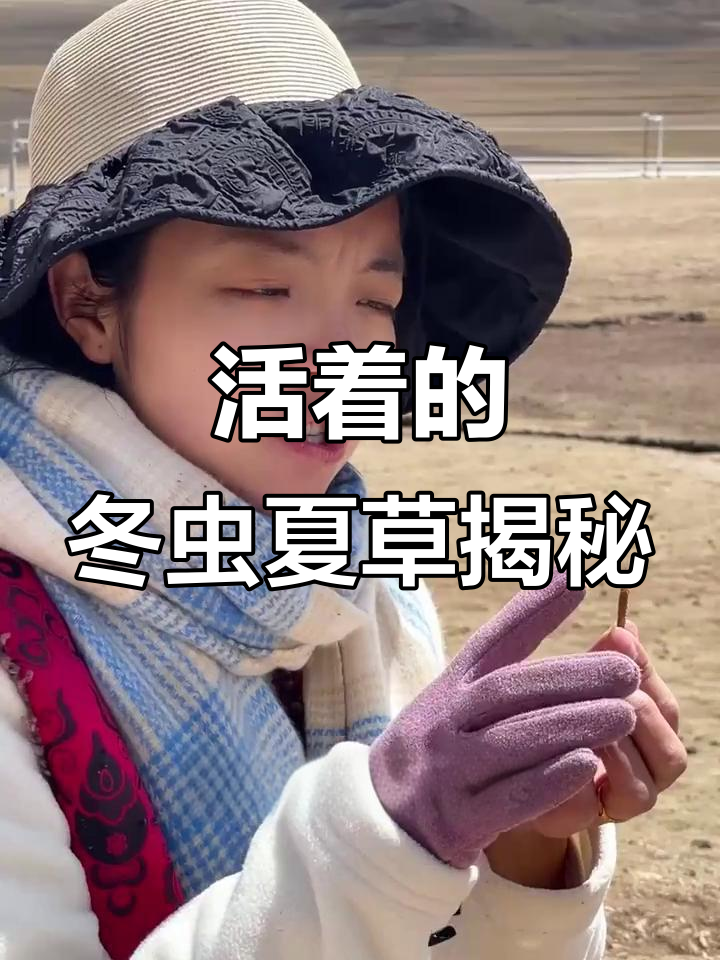 冬虫夏草原来是“虫子”,看看它的成长过程