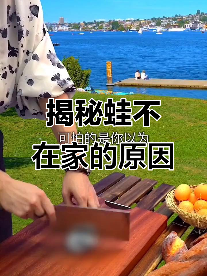 旅行青蛙不回家的秘密:一顿麻辣田鸡大餐引发的奇妙体验