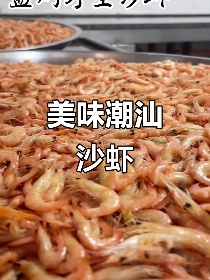 潮汕野生沙虾,鲜美无比的海味享受