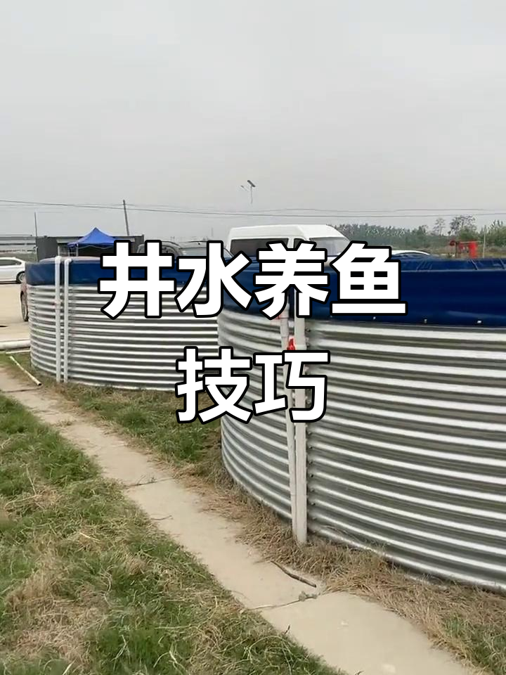 井水养锦鲤，圆形鱼池设计技巧与高密度养殖解析