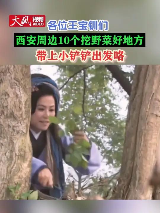 各位王宝钏们 西安周边10个挖野菜好地方 带上小铲铲出发咯