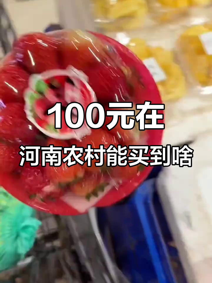 河南农村大挑战:100块能买多少东西?蒜苗、韭菜一网打尽