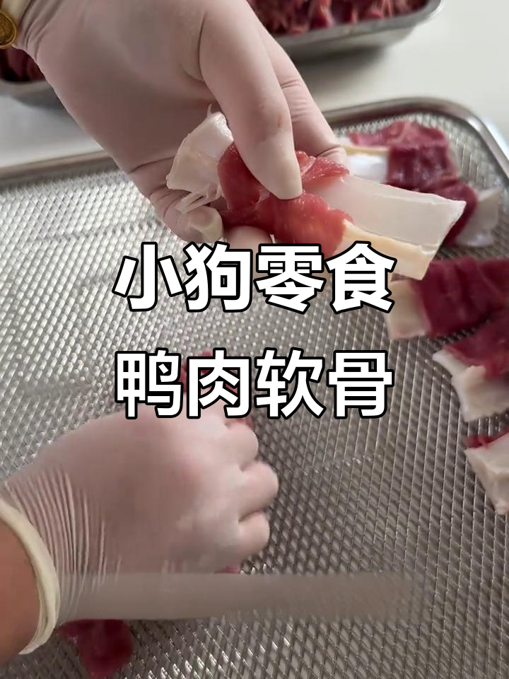 鸭肉软骨适合挑食小狗狗，日常加餐奖励必备