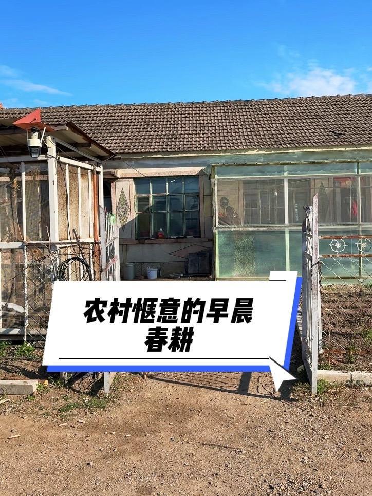 农村老家惬意的早晨，空气舒服极了，远离城市的喧嚣！#农村老家的风景