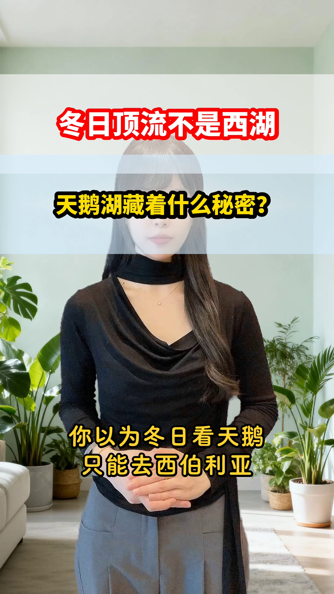 别挤西湖了！三门峡天鹅湖才是冬日顶流