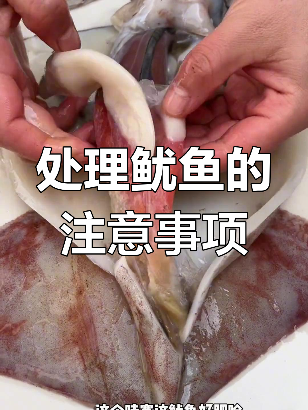 鱿鱼公母大揭秘,处理技巧全解析