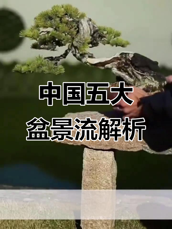 探秘中国五大盆景流派,领略岭南、川派与海派的魅力