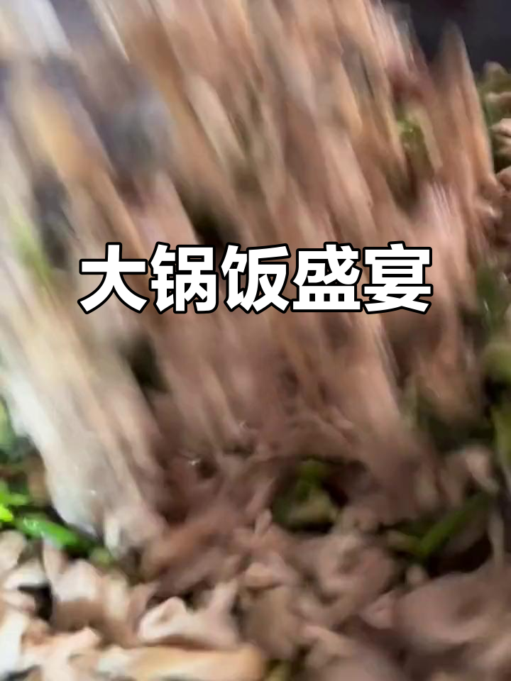 午餐大锅饭,酸辣土豆丝、手撕包菜等美味等你品尝!