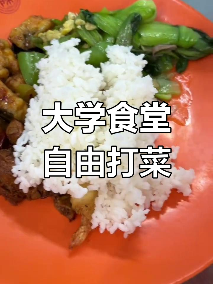 学校食堂的打菜机制太人性化了,价格不一随便选!