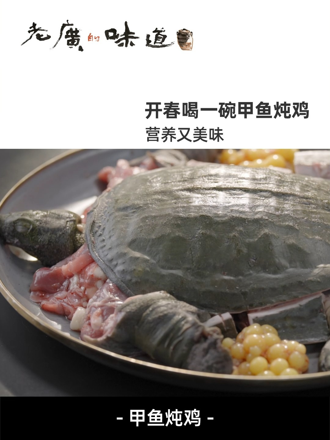 开春喝一碗甲鱼炖鸡 营养又美味
