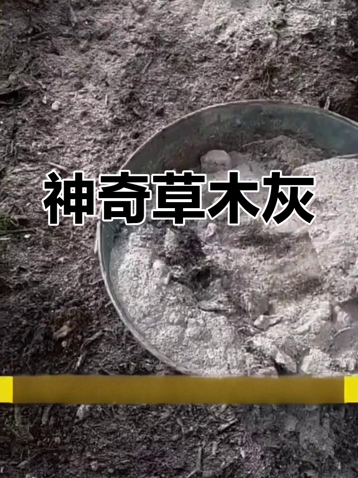 草木灰的多重功效,让蔬菜更健康
