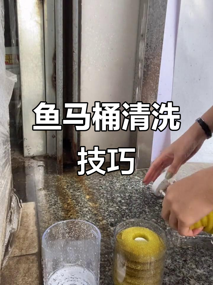 鱼马桶清洗全攻略,轻松拆卸与维护