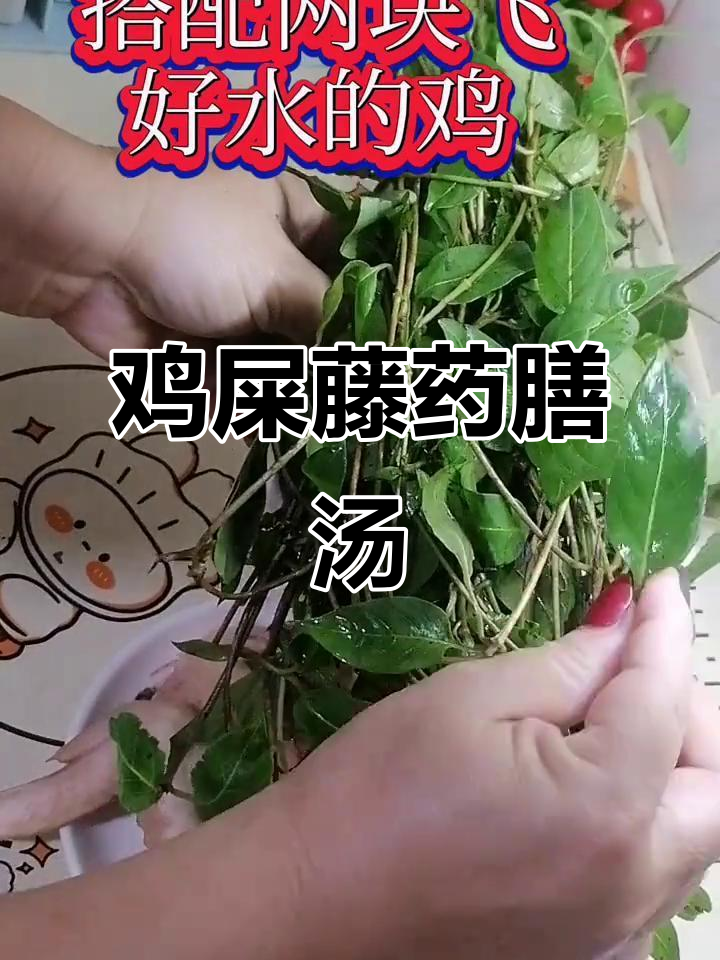 鸡屎藤煲汤,臭气变清香,广东风味满满