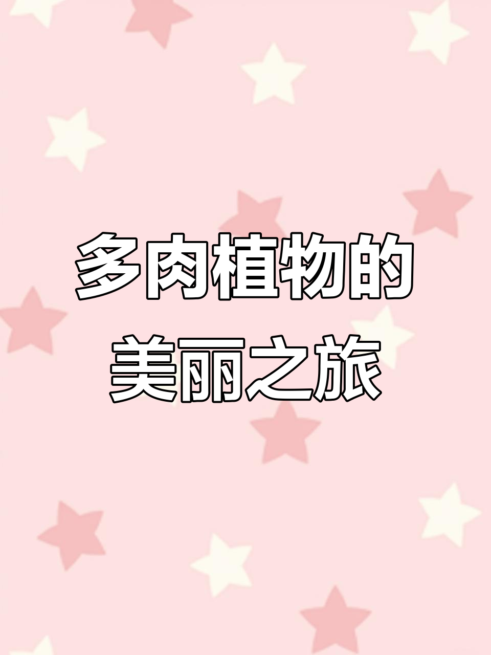 神仙颜值的多肉植物,带你领略西瓜兽、冰长寿等品种的魅力