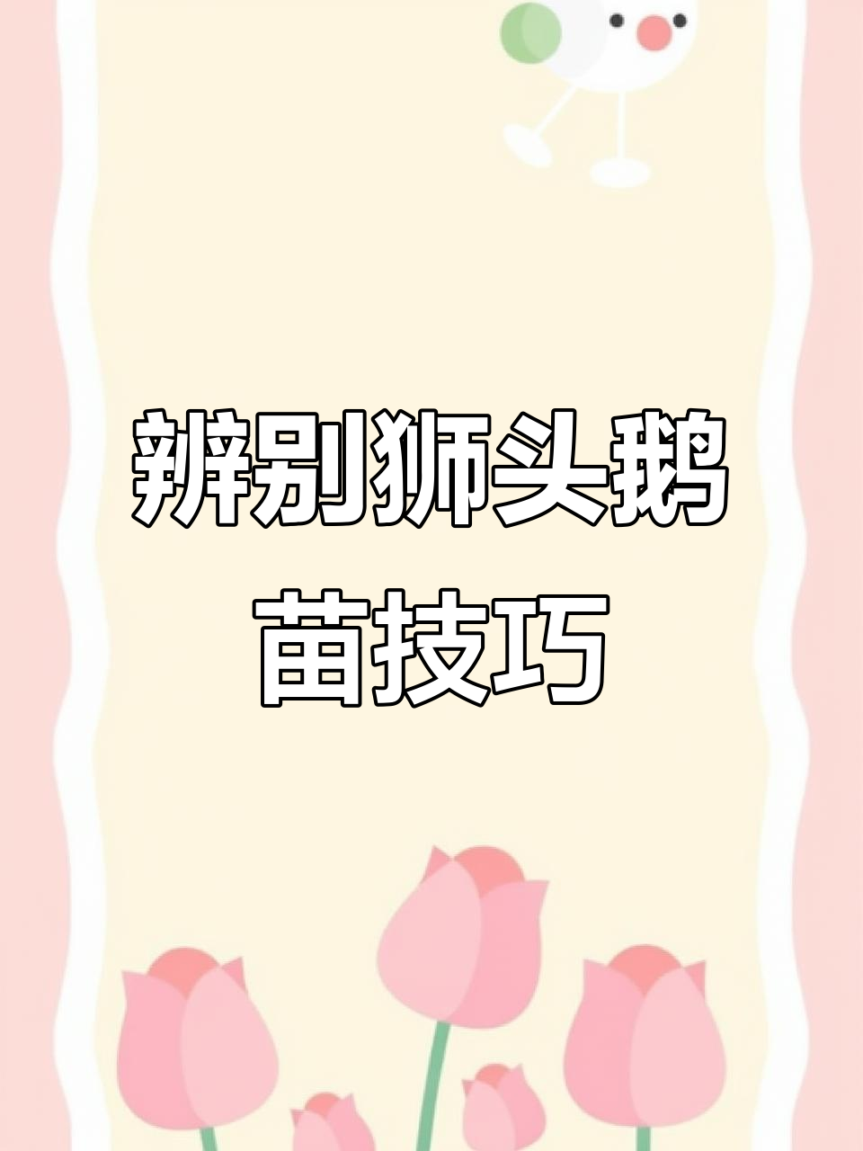 如何分辨狮头鹅苗的真伪，特征全解析