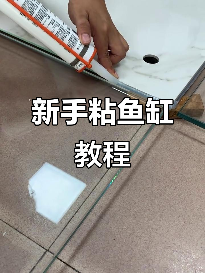新手必学！轻松粘鱼缸技巧，掌握打胶方法