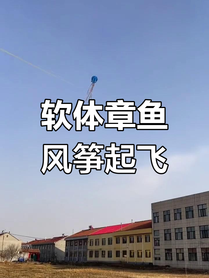 章鱼风筝放飞技巧:如何调整飞行方向避免掉落