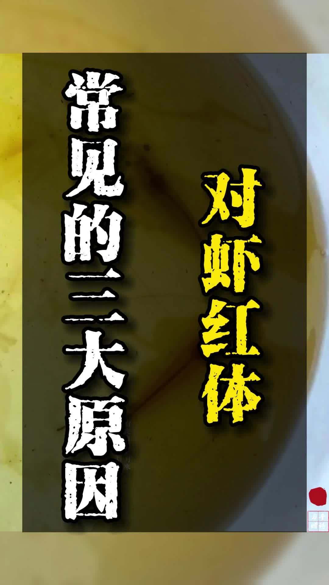 对虾红体需要注意吗?引起的常见原因是什么?南美白对虾 养虾人 水产养殖 水产人