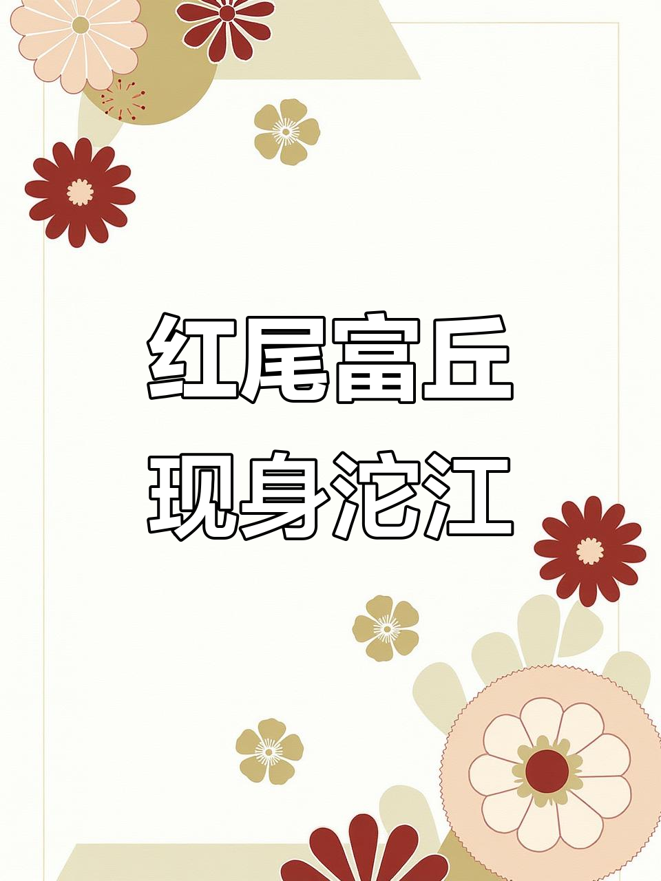 男子在沱江发现罕见红尾富丘,曾多到钓不完如今难寻