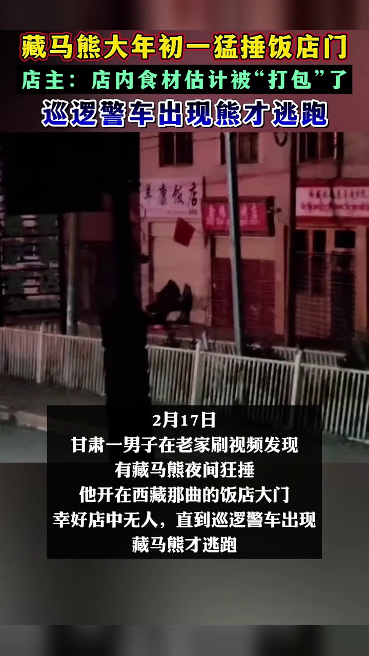 除夕夜两只黑熊闯进饭店“拜年”，扯铁丝网推卷帘门，网友：这店做饭肯定好吃，连熊都馋了