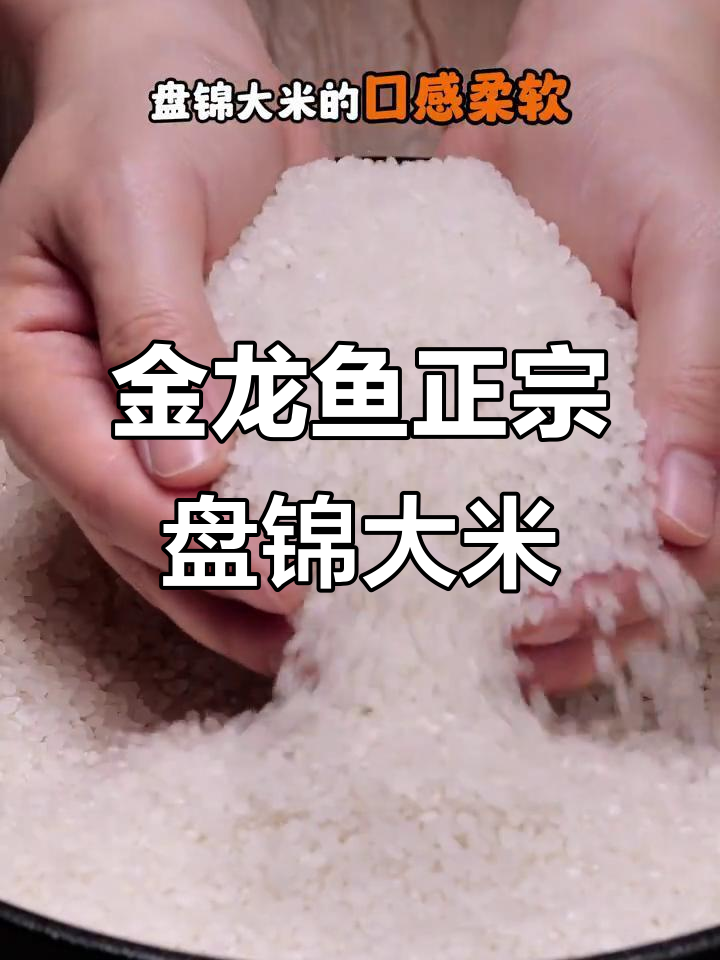 盘锦大米,金龙鱼甄选道:口感细腻、香气四溢的优质好米