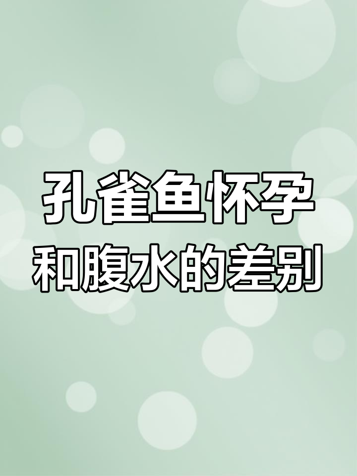 孔雀鱼怀孕与腹水区别大揭秘,如何判断及治疗