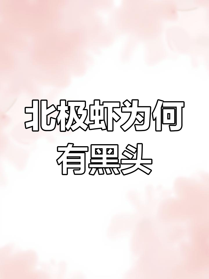 北极虾黑头真相大揭秘,捕捞方式竟是元凶!