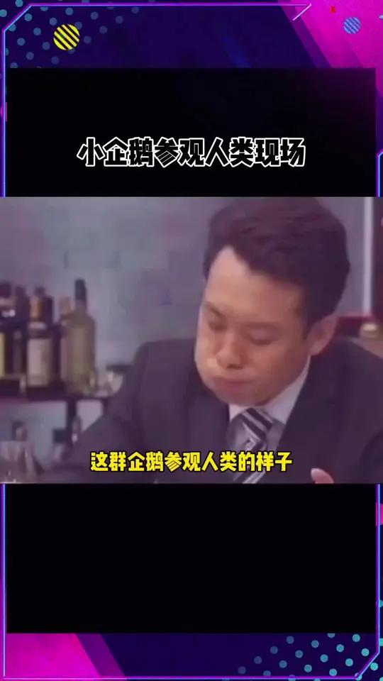 这不就是《马达加斯加的企鹅》本鹅嘛!