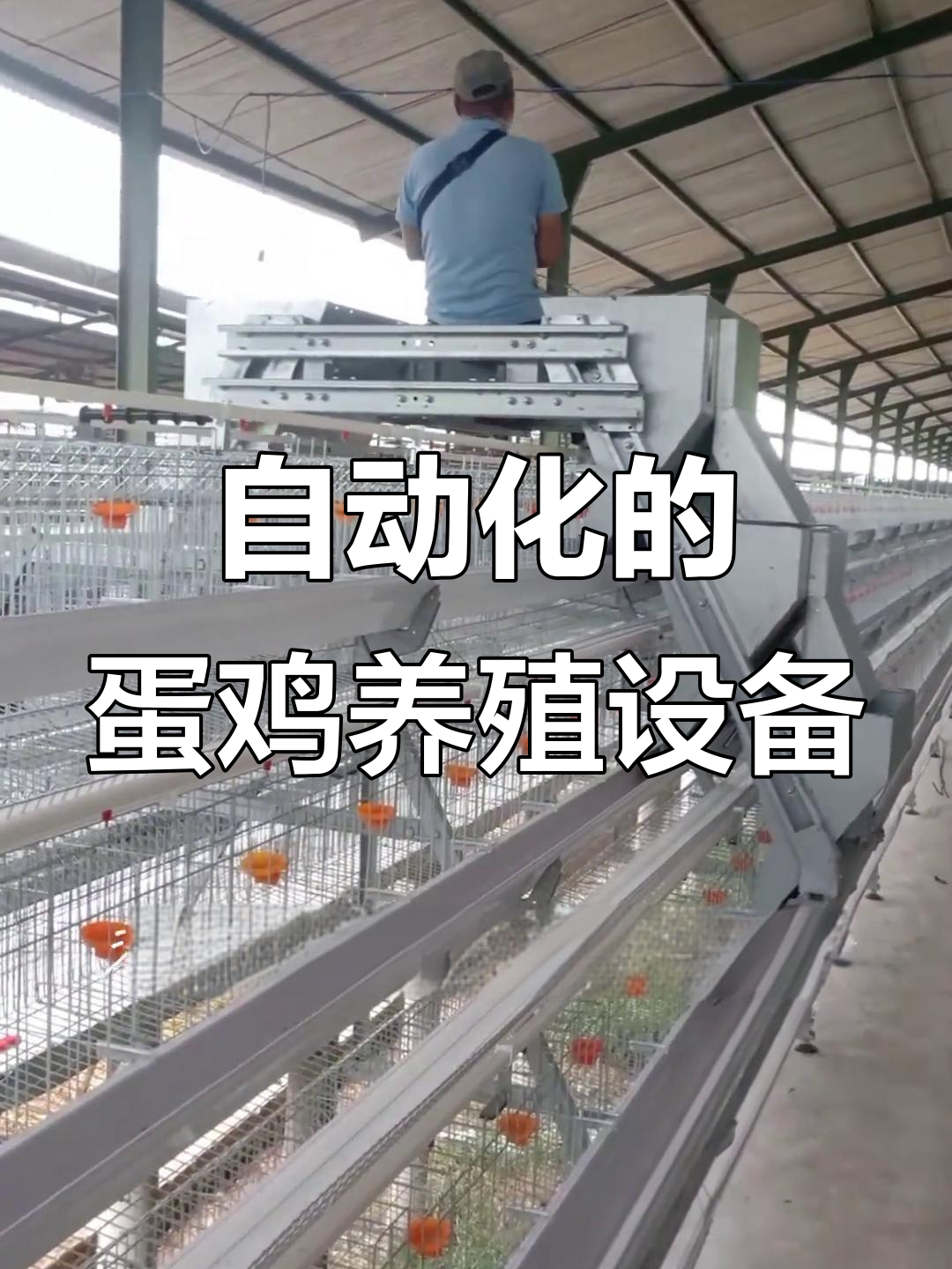 河南银星家禽设备:自动化鸡笼,助力养殖效率提升