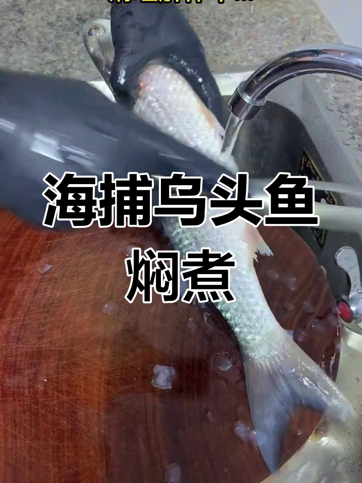 渔家风味焖煮乌头鱼,365天海鲜挑战第24天