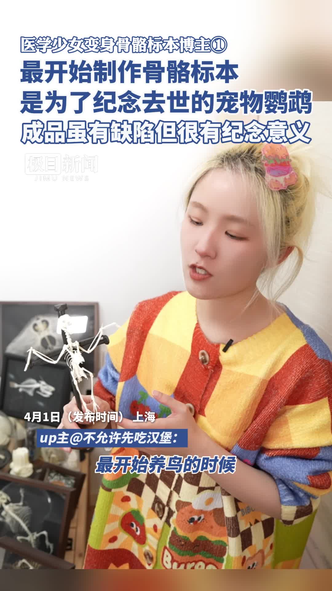 「视频」医学少女变身骨骼标本博主① 最开始制作骨骼标本是为了纪念去世的宠物鹦鹉,成品虽有缺