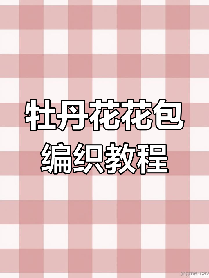 双面牡丹花编织包包教程,简单步骤学会钩织技巧