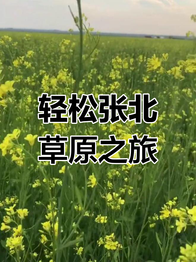 张北坝上草原自驾游,悠闲两日体验