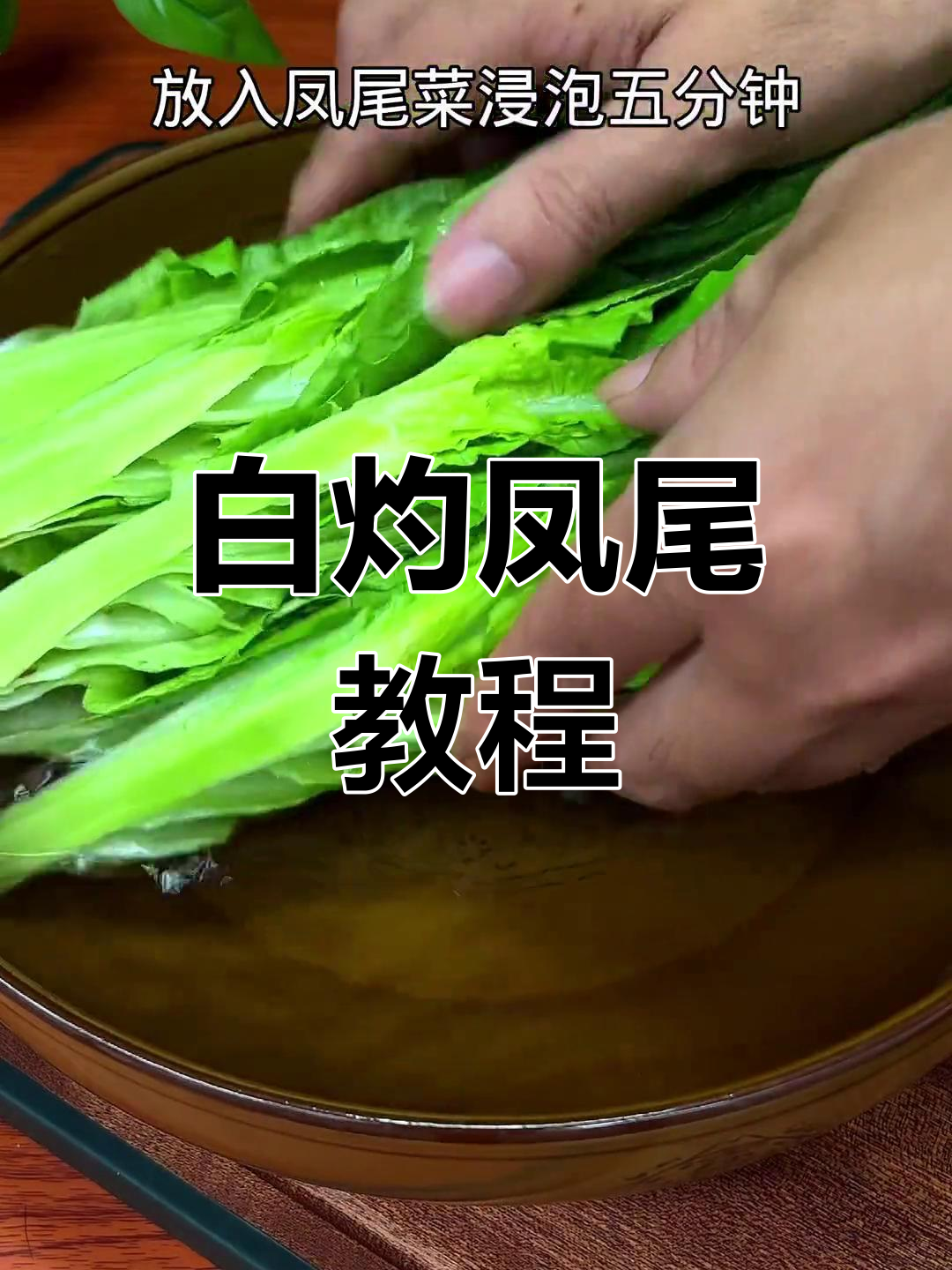 凤尾菜白灼做法,清脆开胃又简单