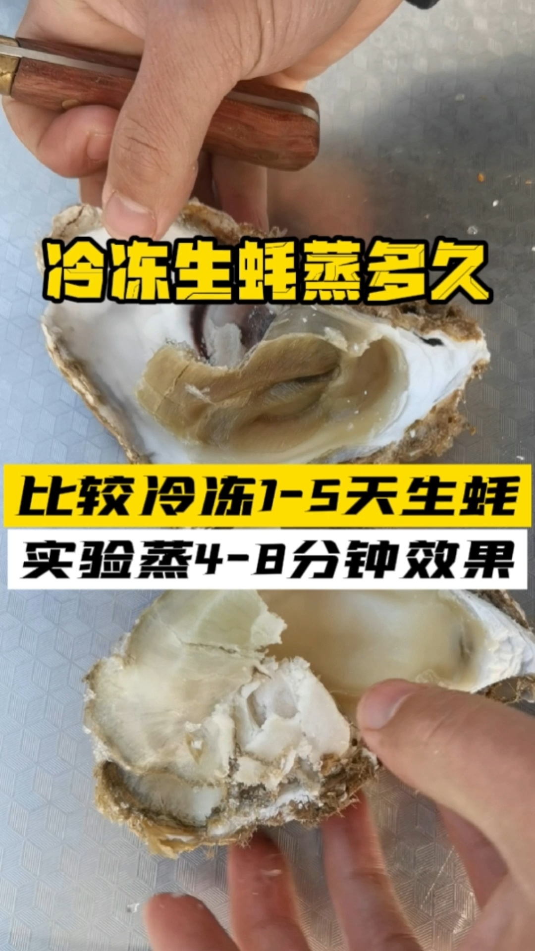 生蚝可以冷冻吗?冷冻后的生蚝要蒸多久?
