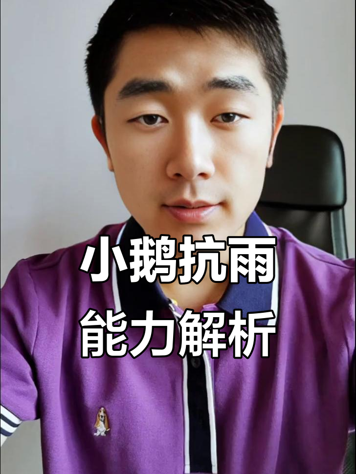 小鹅淋雨注意事项，如何避免感冒和伤亡