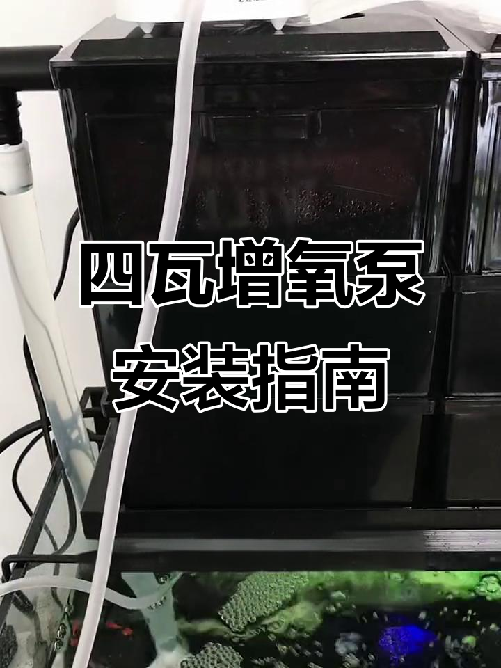 鱼缸静音增氧泵使用技巧,如何避免反流烧坏气泵