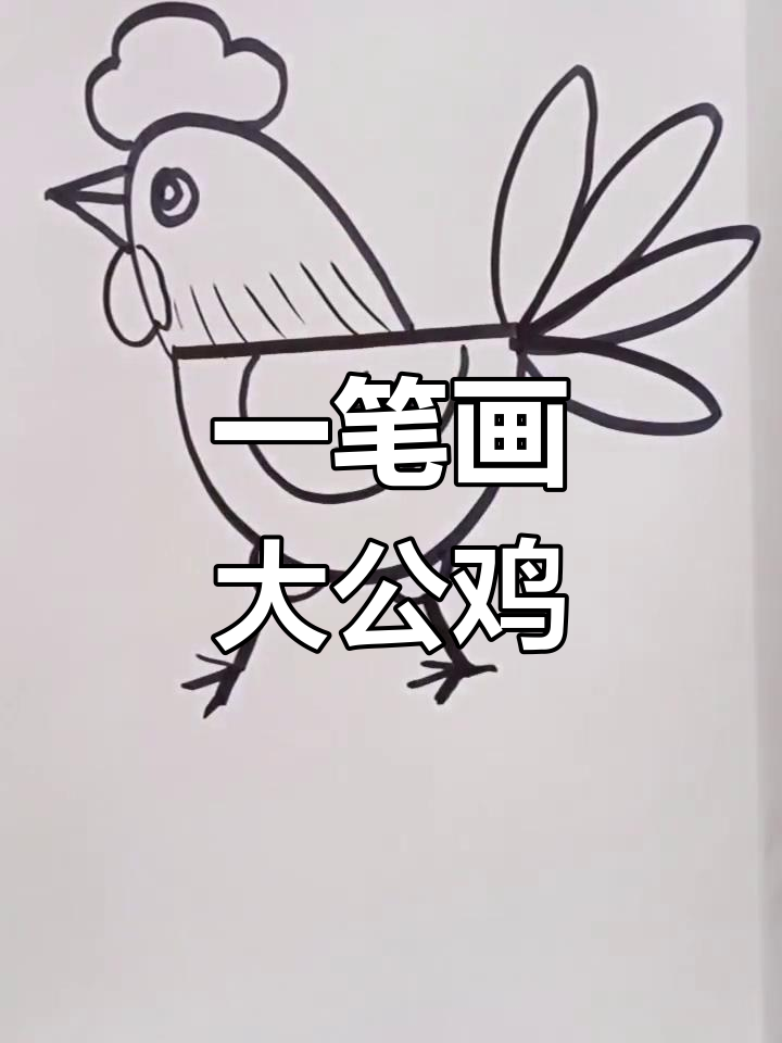 简单几步画出大公鸡