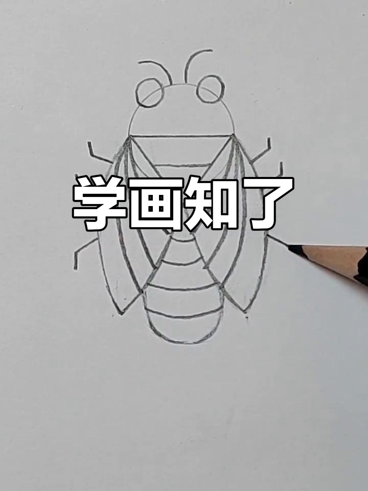 知了简笔画教程,轻松学会画可爱小动物