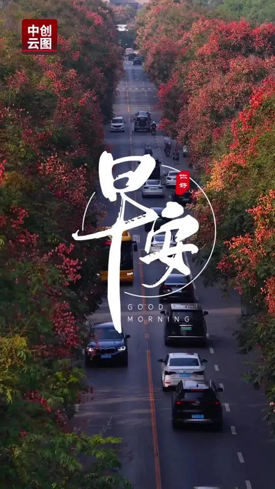 努力的意义,是让自己有更多选择#早安语录 #早安励志 #每日正能量 #治愈系