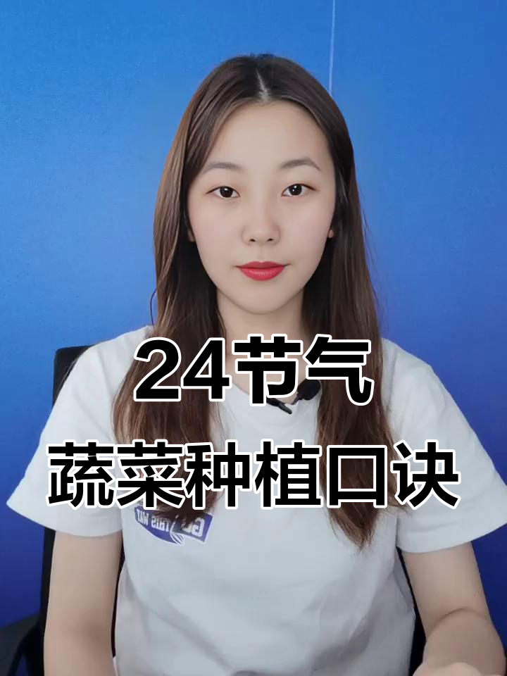 二十四节气种菜秘诀,掌握这些让你事半功倍