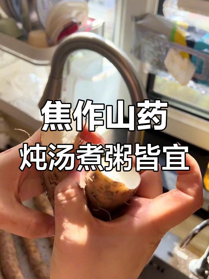 河南焦作铁棍山药,熬粥煲汤都超棒!秋冬必吃养人美食