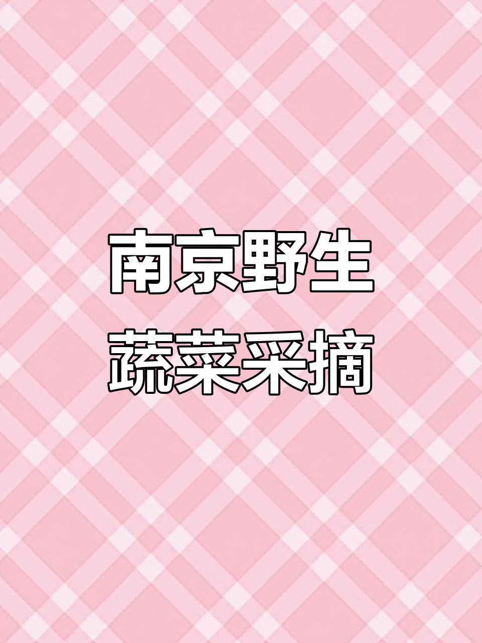 南京野菜大丰收,马兰头、芦蒿一网打尽