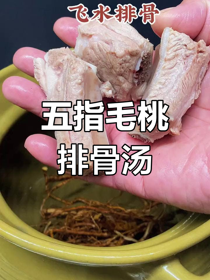广东回南天必喝的五指毛桃排骨汤