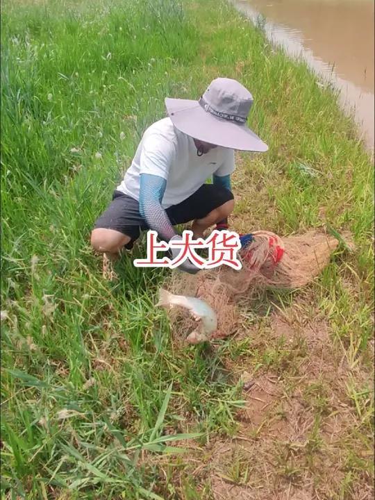不起眼小河沟出鱼,刚子一网扣上大梭鱼真过瘾