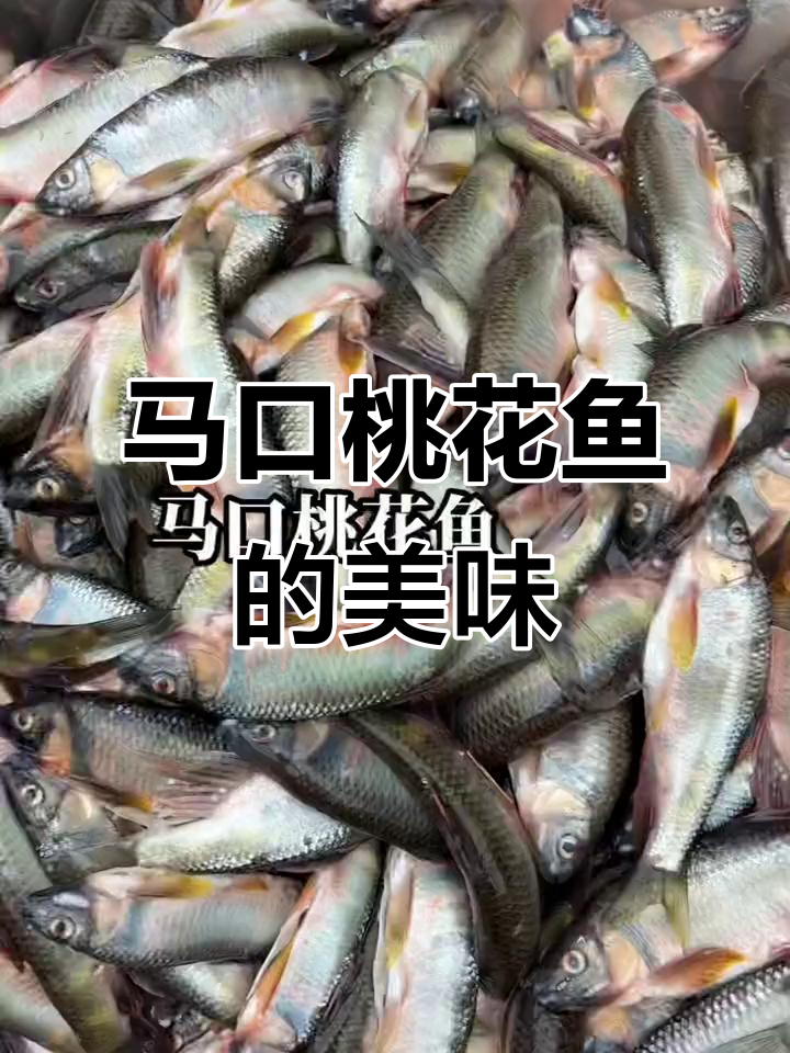 溪鱼界颜值天花板,马口桃花鱼的独特美味你尝过吗?