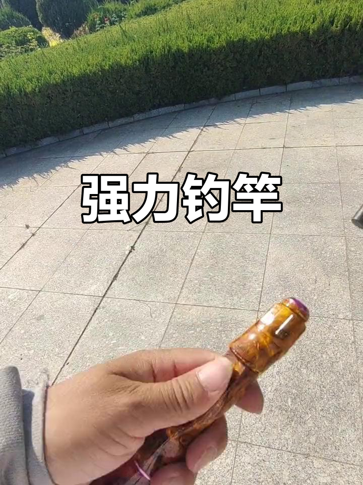 碳纤维竿身,12导眼设计,轻松应对百斤大鱼挑战
