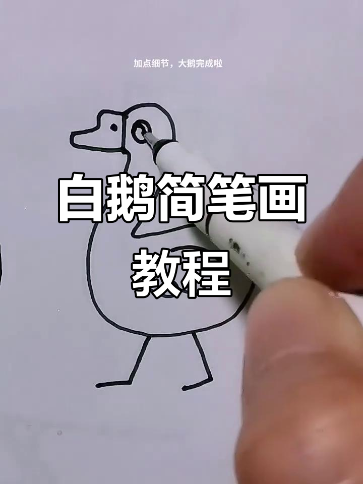 轻松学画白鹅,简单步骤搞定!
