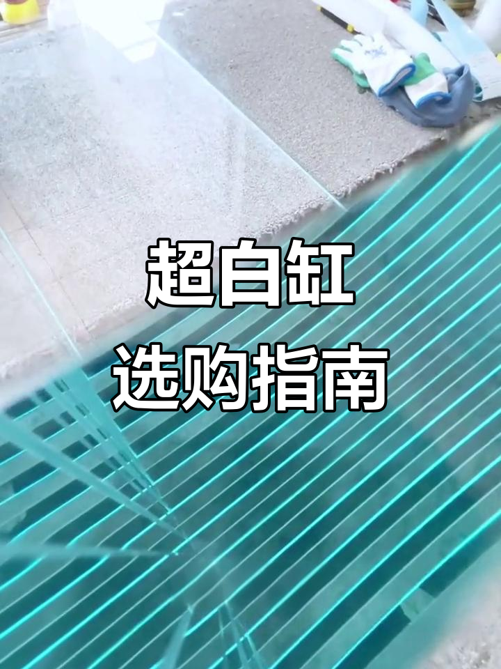 入手超白缸必看三大建议,避免踩雷!