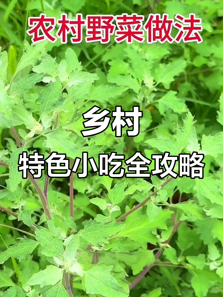 农村美食大揭秘：从刘达鸡儿到烩菜，全是自然美味